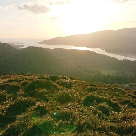 Abergwynant Farm Glamping & Apartments Dolgellau Dış mekan fotoğraf