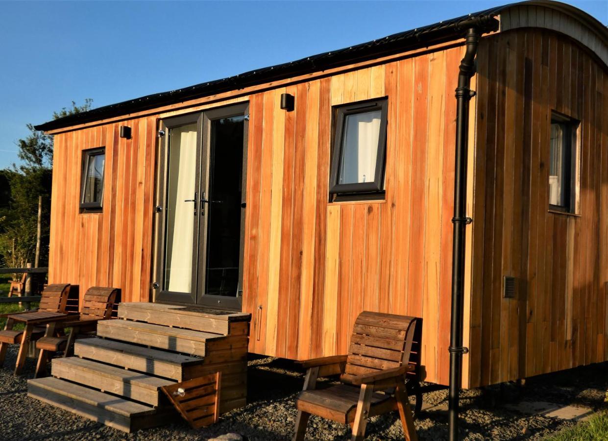 Abergwynant Farm Glamping & Apartments Dolgellau Dış mekan fotoğraf