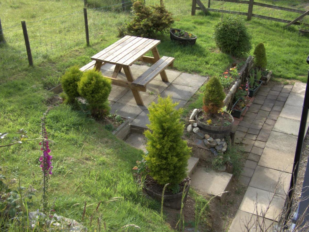 Abergwynant Farm Glamping & Apartments Dolgellau Dış mekan fotoğraf