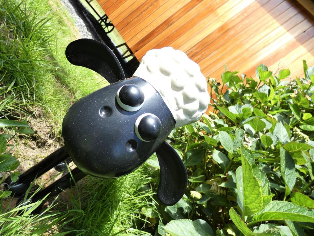 Abergwynant Farm Glamping & Apartments Dolgellau Dış mekan fotoğraf