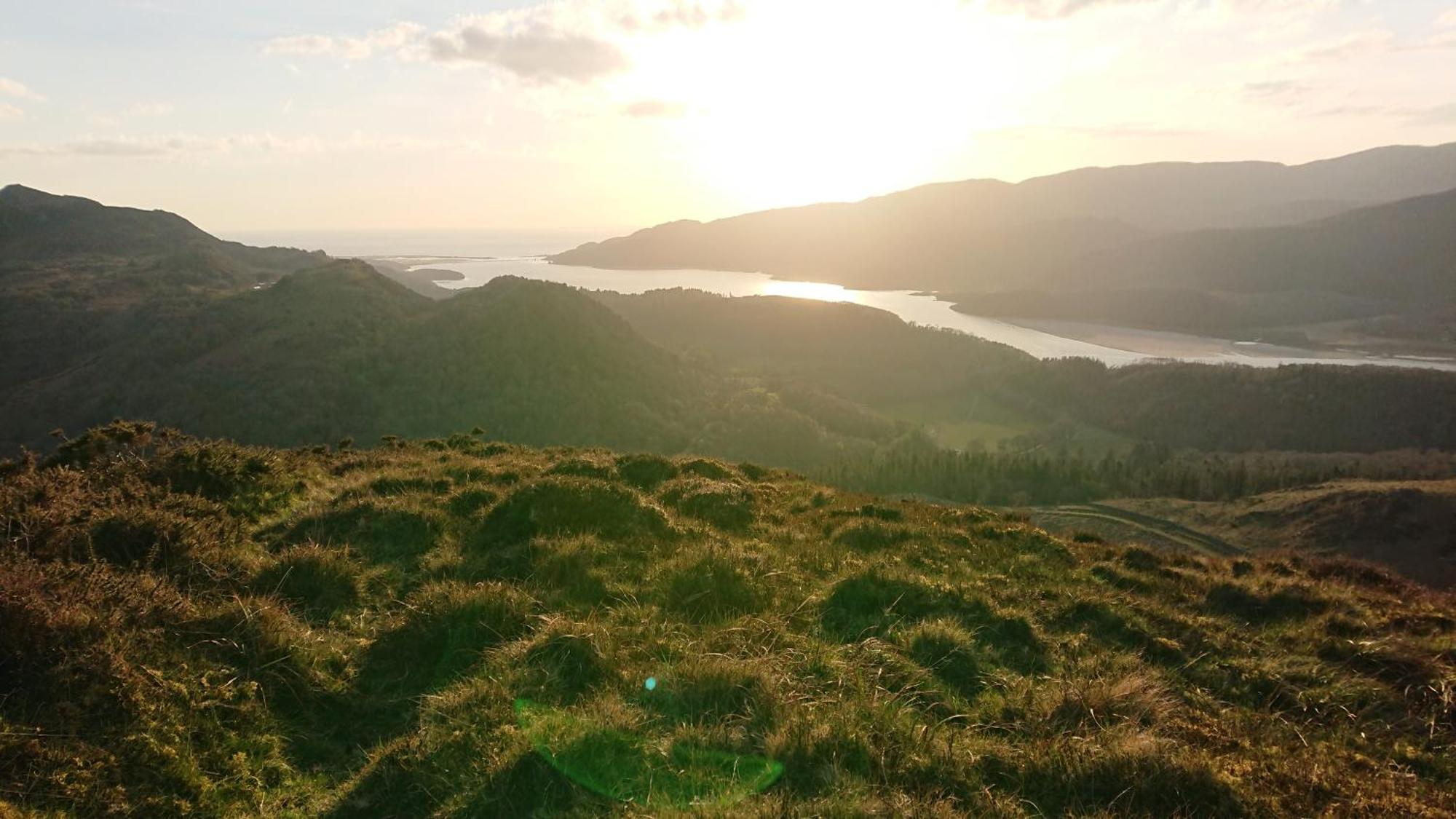 Abergwynant Farm Glamping & Apartments Dolgellau Dış mekan fotoğraf