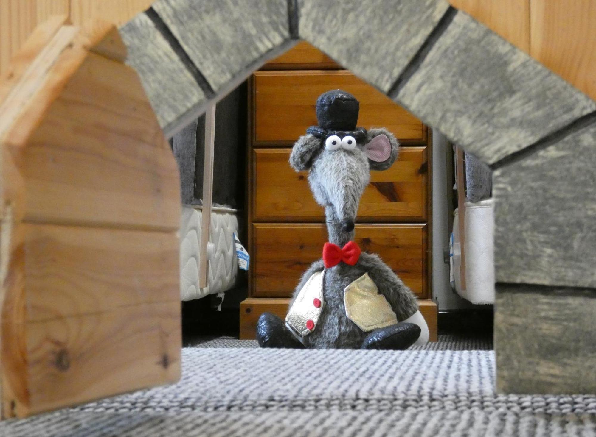 Abergwynant Farm Glamping & Apartments Dolgellau Dış mekan fotoğraf
