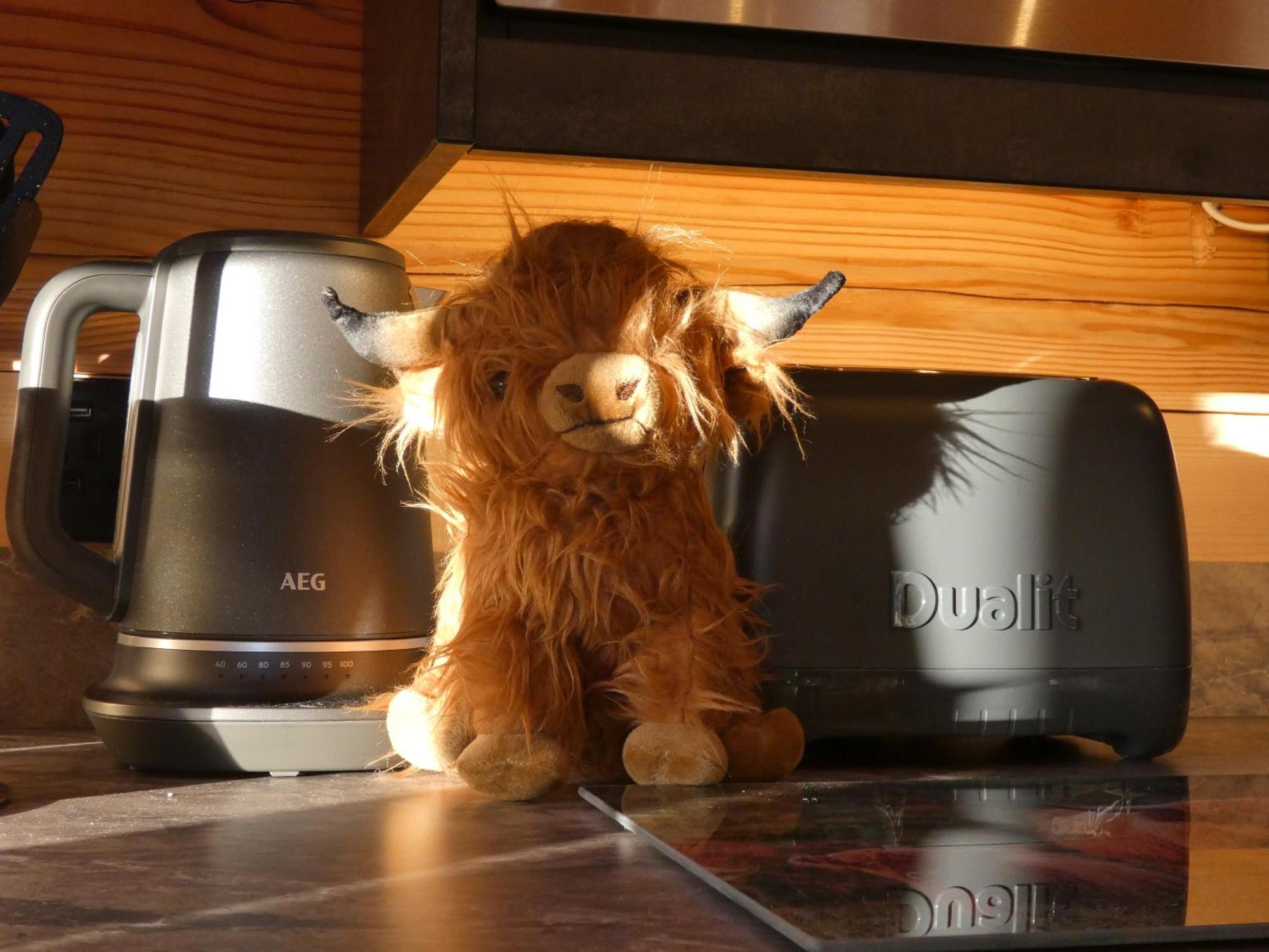 Abergwynant Farm Glamping & Apartments Dolgellau Dış mekan fotoğraf
